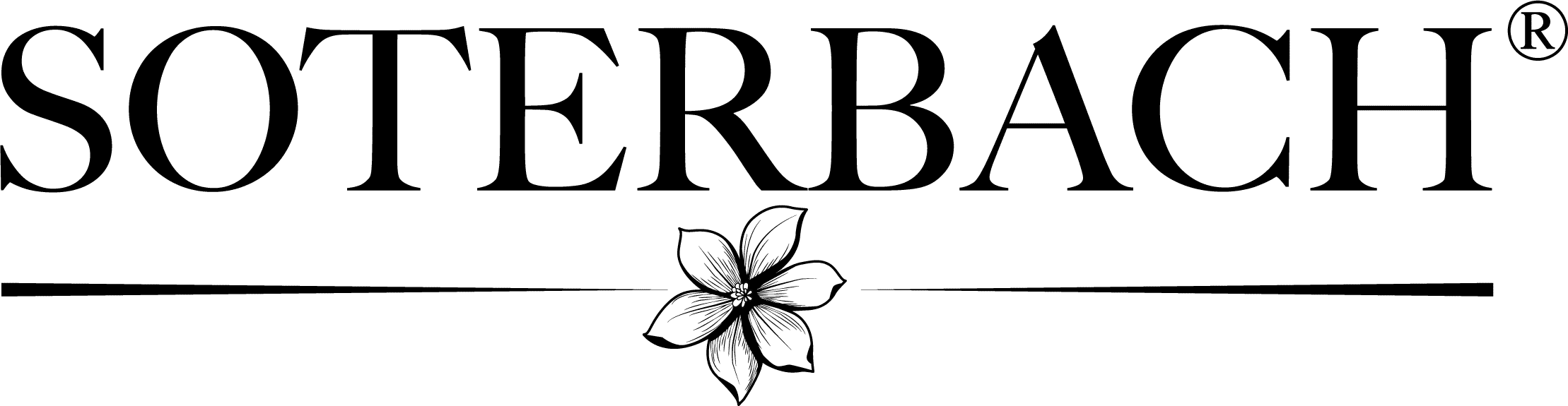 logo Soterbach